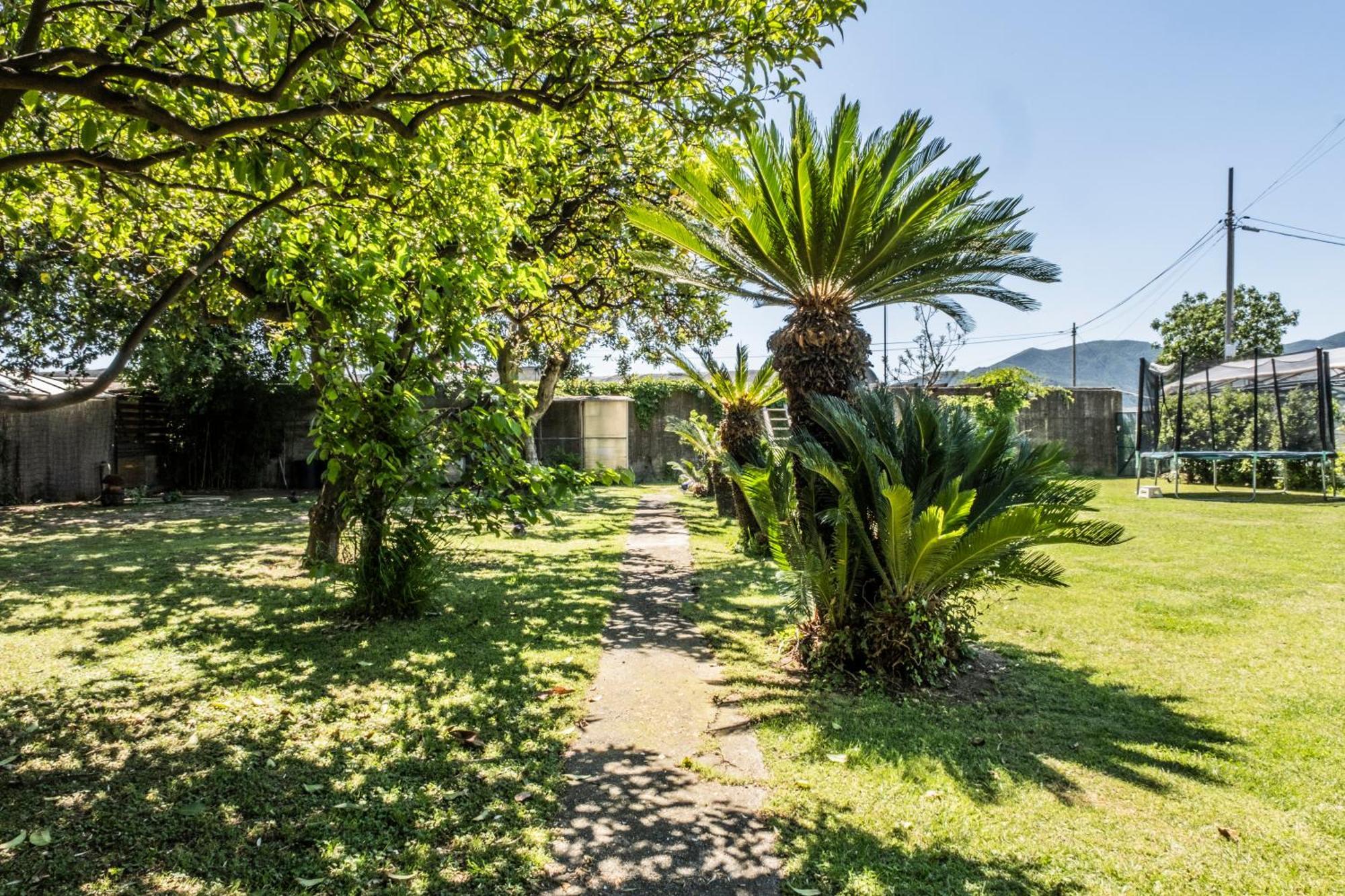 אלבניה Agriturismo Giorgi Appartamenti In Riviera Ligure מראה חיצוני תמונה